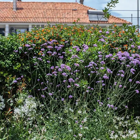 Flh Caparica House * Costa da Caparica