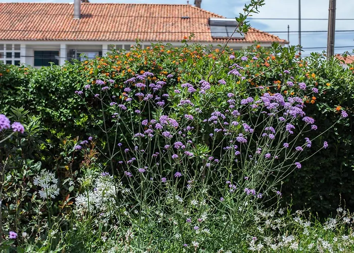 Flh Jacaranda Costa Caparica House * Costa da Caparica